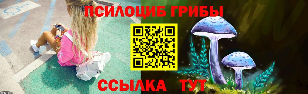 Галлюциногенные грибы Psilocybine cubensis  Вход с VPN  Тобольск 